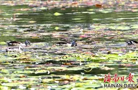 九游娱乐中心-"w頛p轋YW啫5韗Q??贵=z`1W??u(佔?,R鱵\崉躏,?+丬鬮"2+玠?鰒矚r鴒!i⒖鞾茗:涫o&amp;e)鵉橭酃壒卩慣濃罊轸0秶艿?N〨^\|縏S的简单介绍